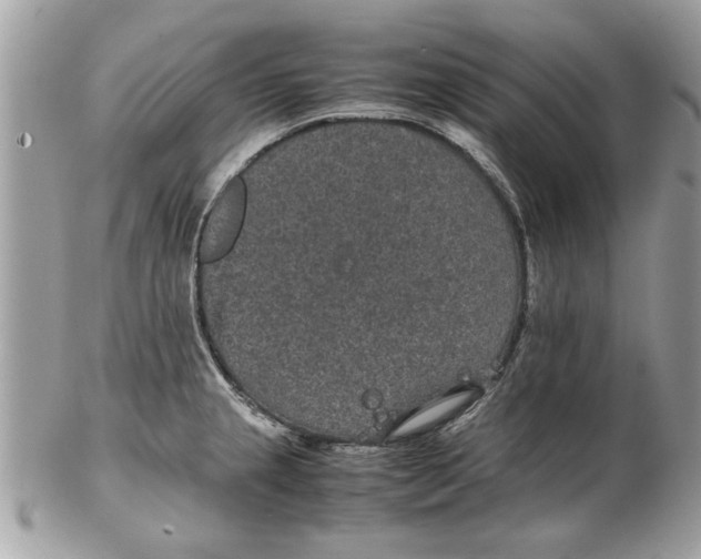 X0000102381237200808291354