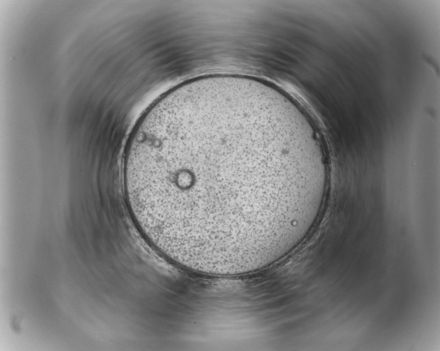 X0000102381238200808291354