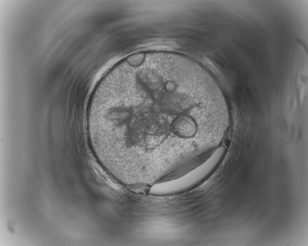 X0000102381240200808291354