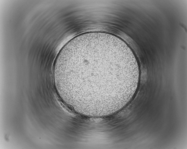 X0000102381242200808291354