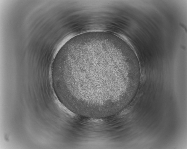 X0000102381243200808291354