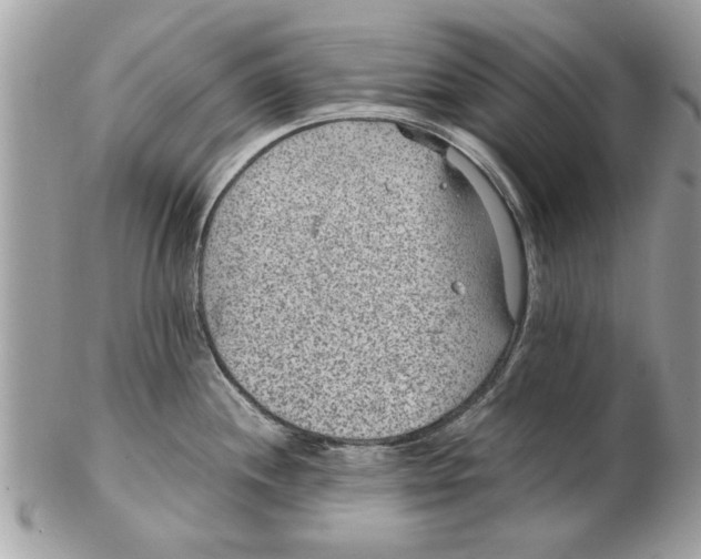 X0000102381244200808291354