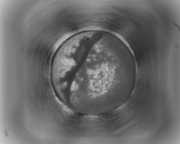 X0000102381245200808291354