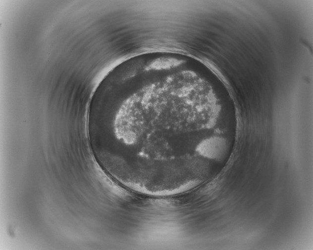 X0000102381246200808291354