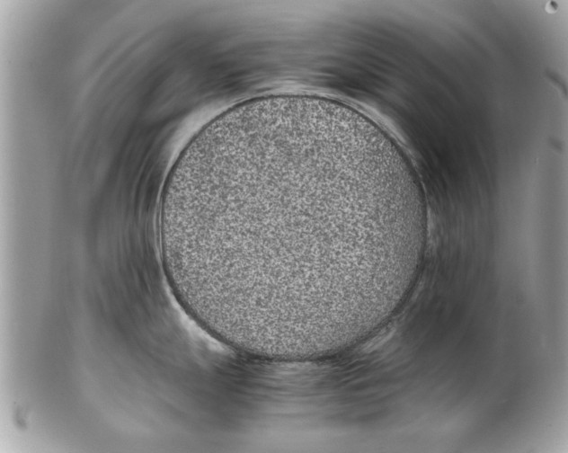 X0000102381247200808291354