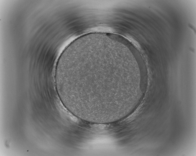 X0000102381248200808291354