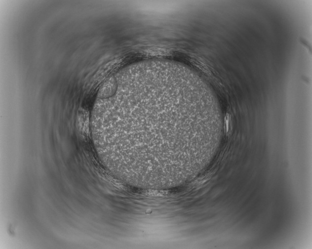 X0000102381251200808291353