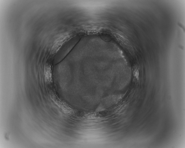 X0000102381252200808291353