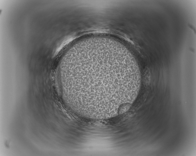 X0000102381255200808291353