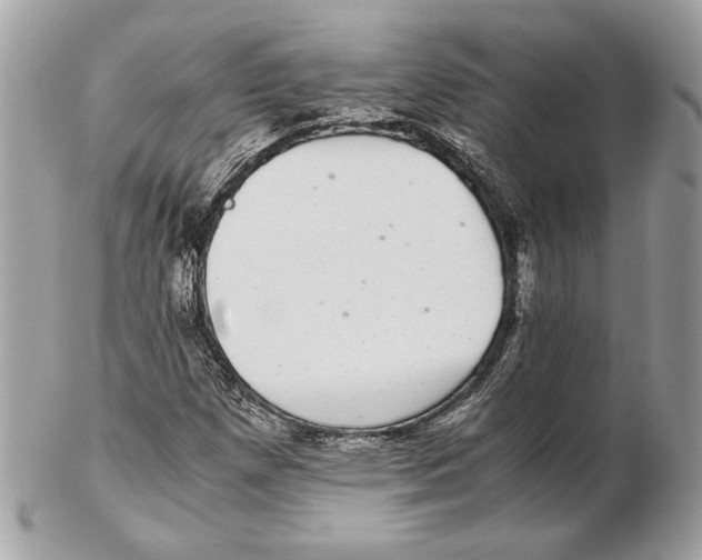 X0000102381257200808291353