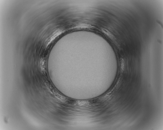 X0000102381258200808291353