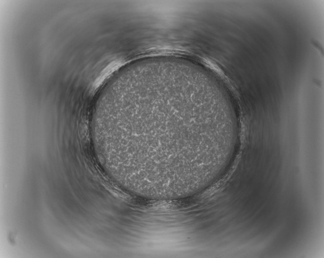 X0000102381259200808291353