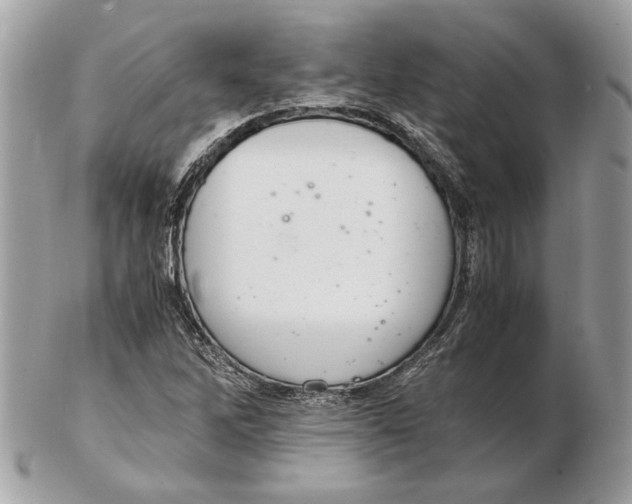 X0000102381262200808291353