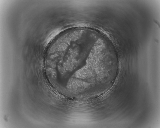 X0000102381263200808291353