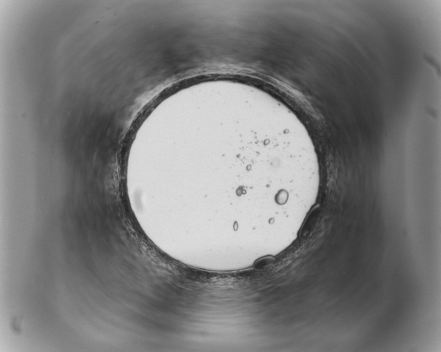 X0000102381264200808291353