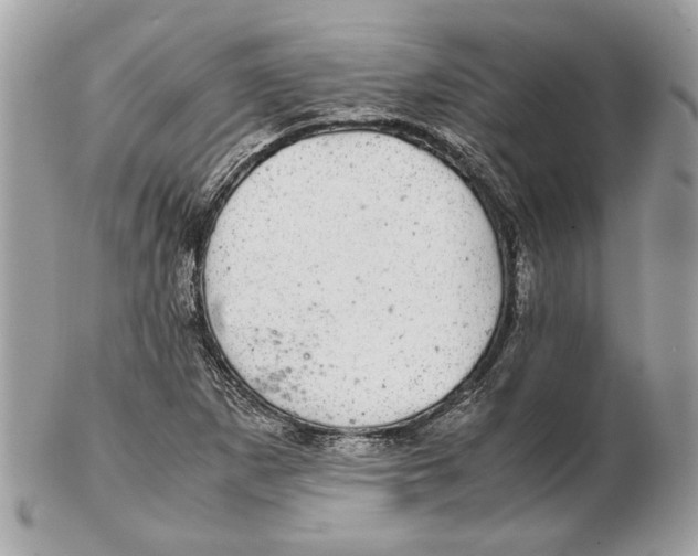 X0000102381265200808291353