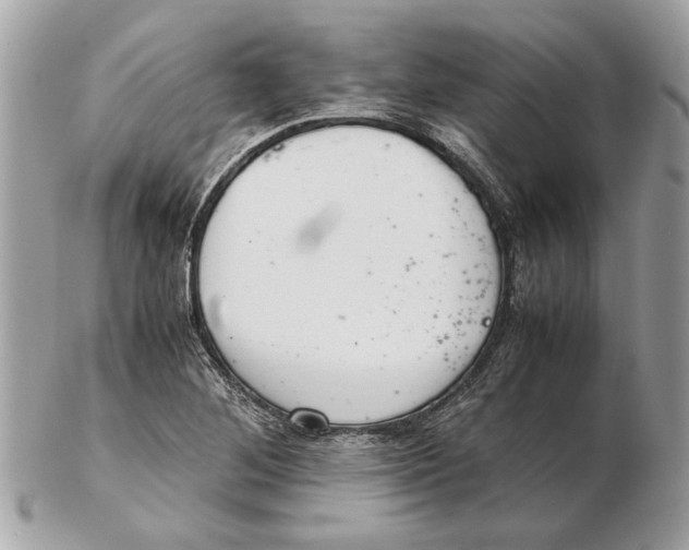 X0000102381268200808291353