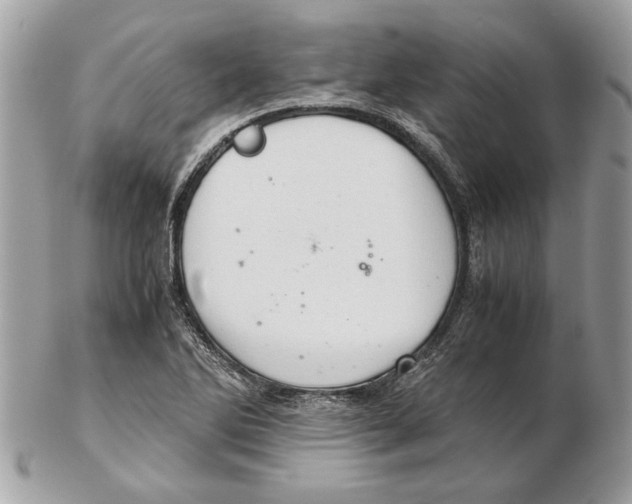 X0000102381270200808291353