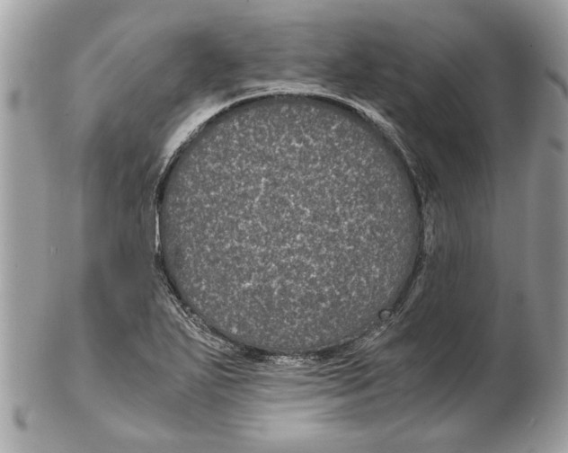 X0000102381271200808291353