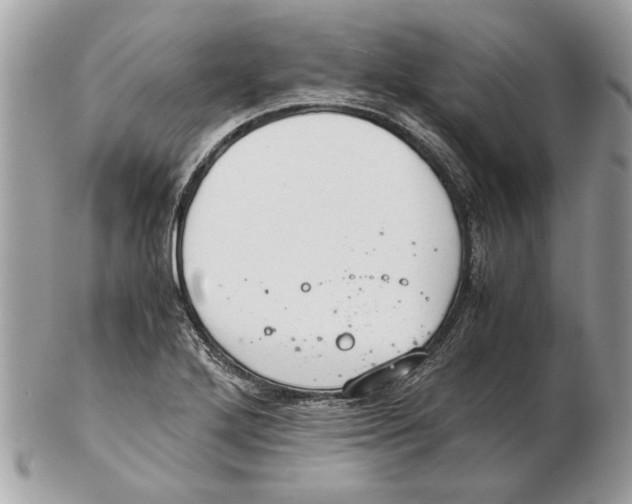 X0000102381272200808291353