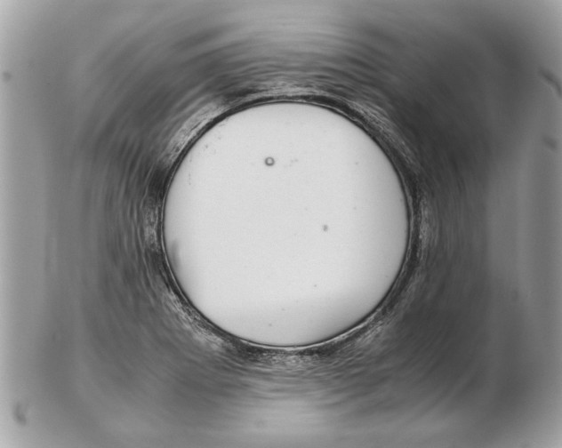 X0000102381273200808291353