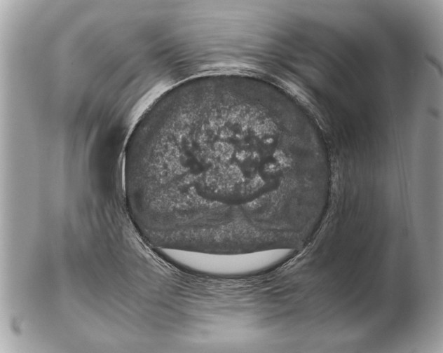 X0000102381275200808291353