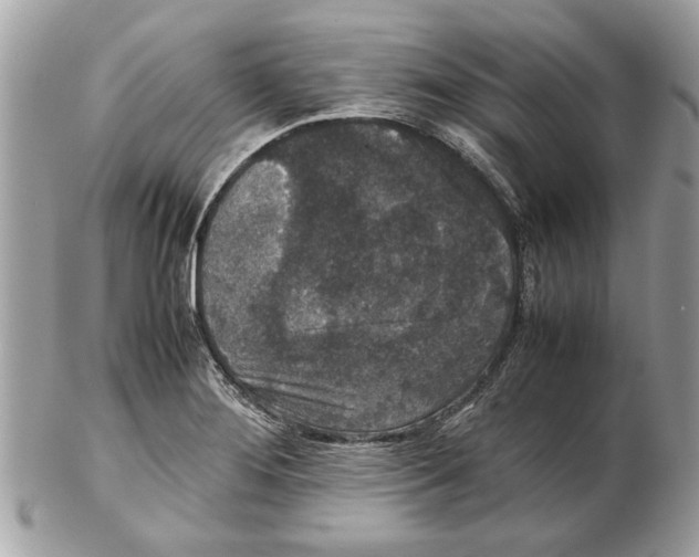 X0000102381276200808291353