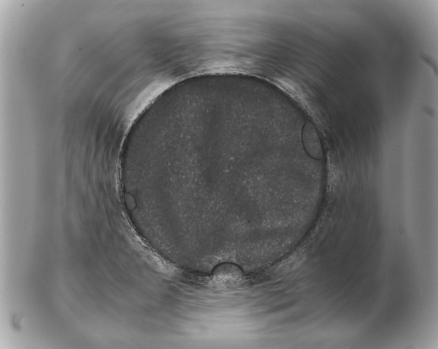 X0000102381277200808291353