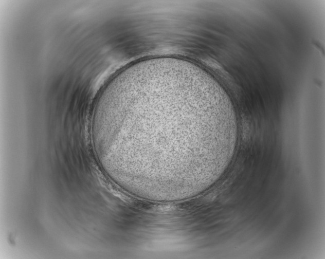 X0000102381278200808291353