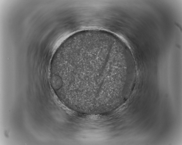 X0000102381279200808291353