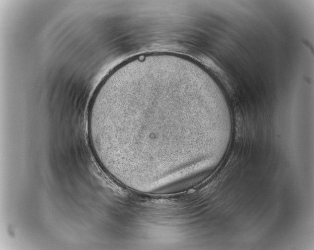 X0000102381280200808291353