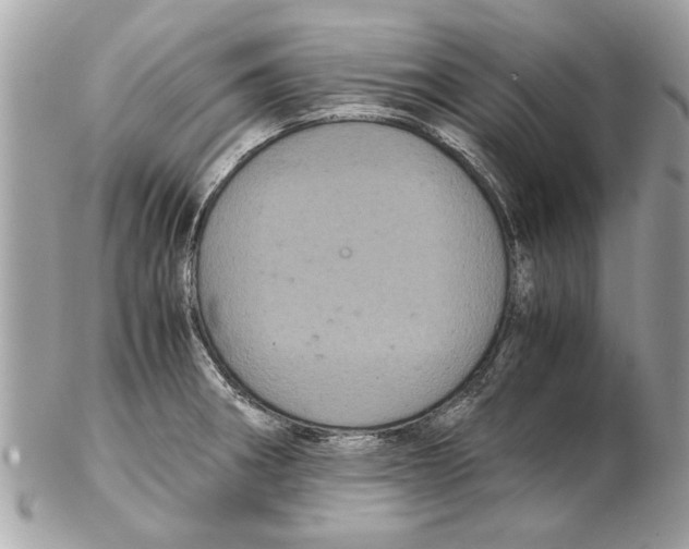 X0000102381282200808291353