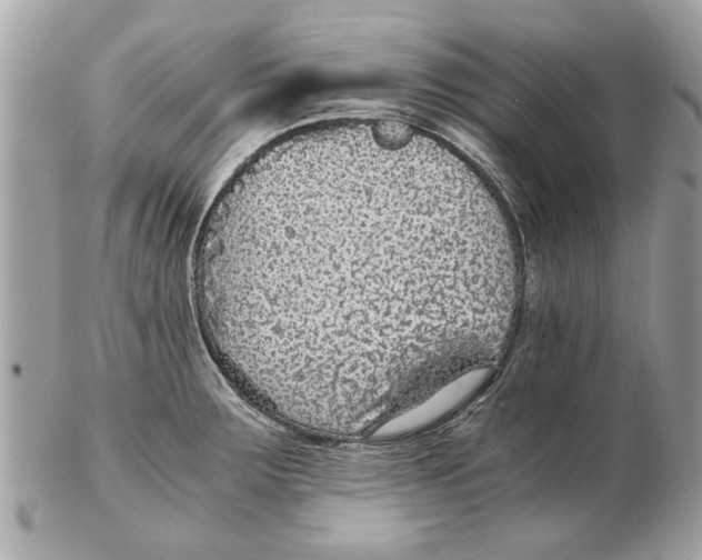 X0000102381283200808291353