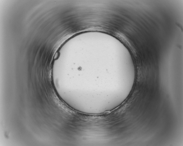 X0000102381284200808291353