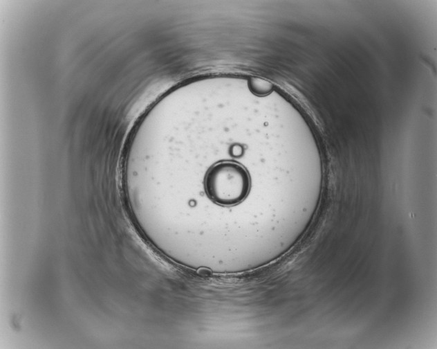 X0000102381285200808291353