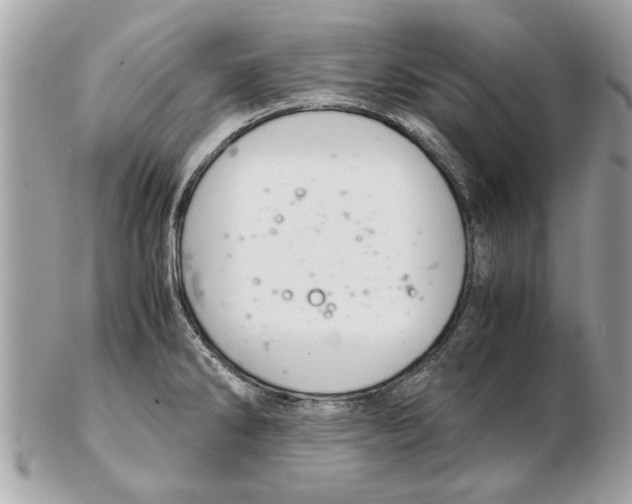 X0000102381286200808291353