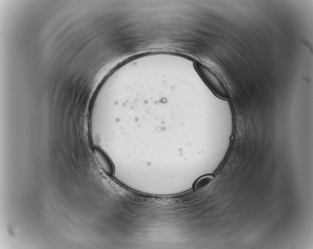 X0000102381288200808291353