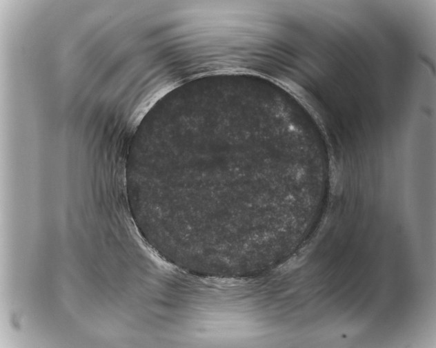 X0000102381289200808291353