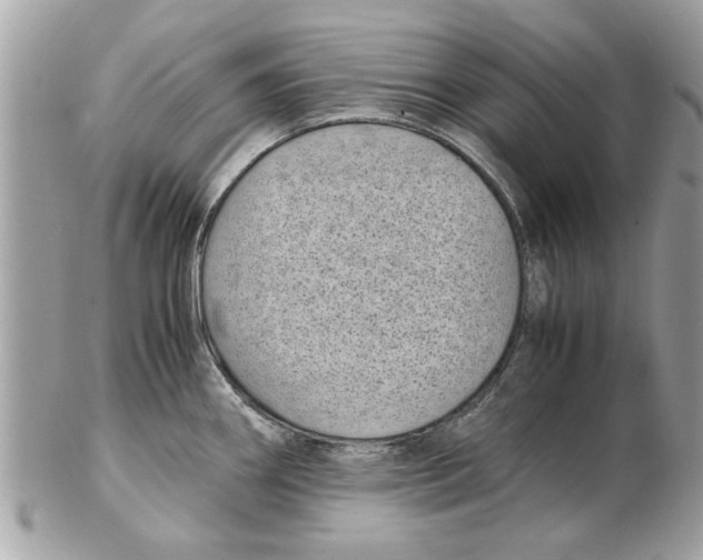 X0000102381290200808291353