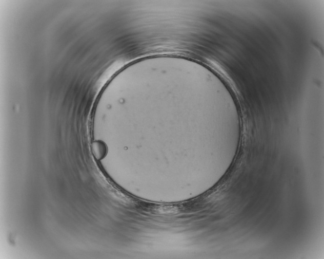 X0000102381291200808291353