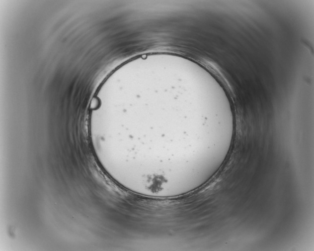 X0000102381292200808291353