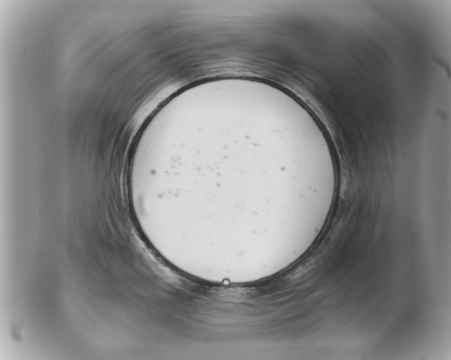 X0000102381293200808291353