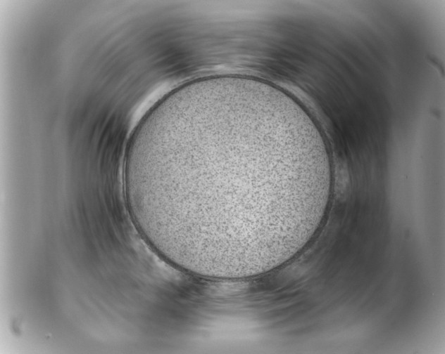 X0000102381294200808291353