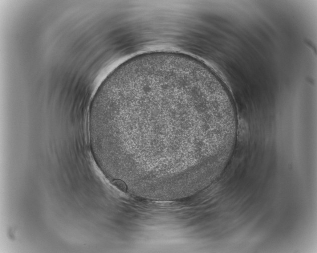 X0000102381295200808291353