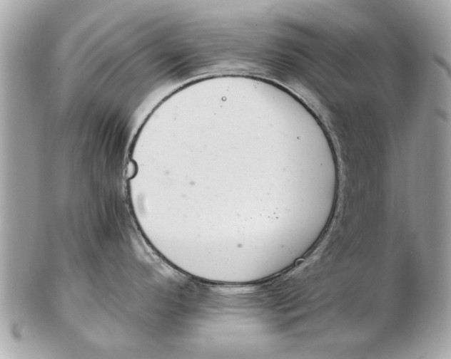 X0000102381296200808291353