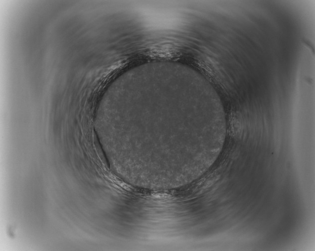 X0000102381297200808291352