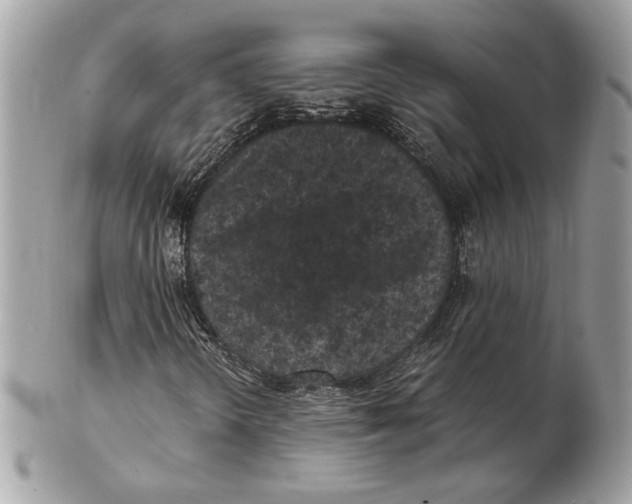 X0000102381298200808291352