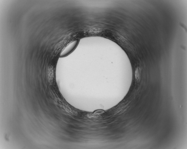 X0000102381299200808291352