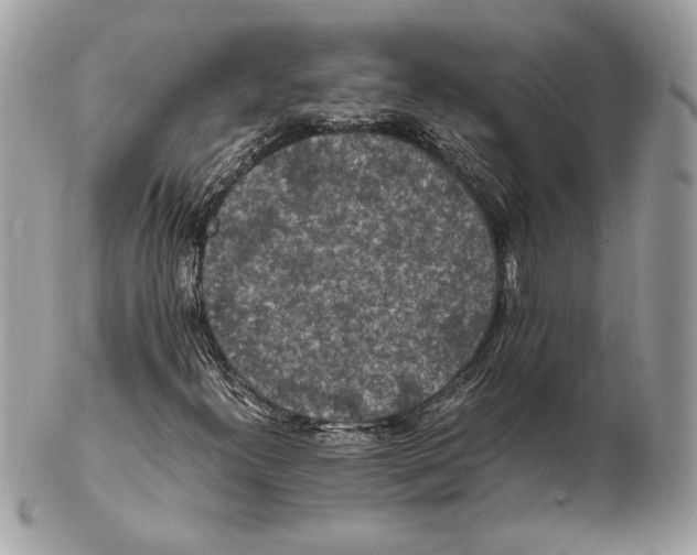 X0000102381300200808291352