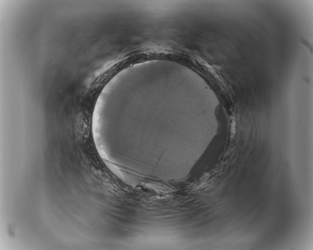 X0000102381303200808291352